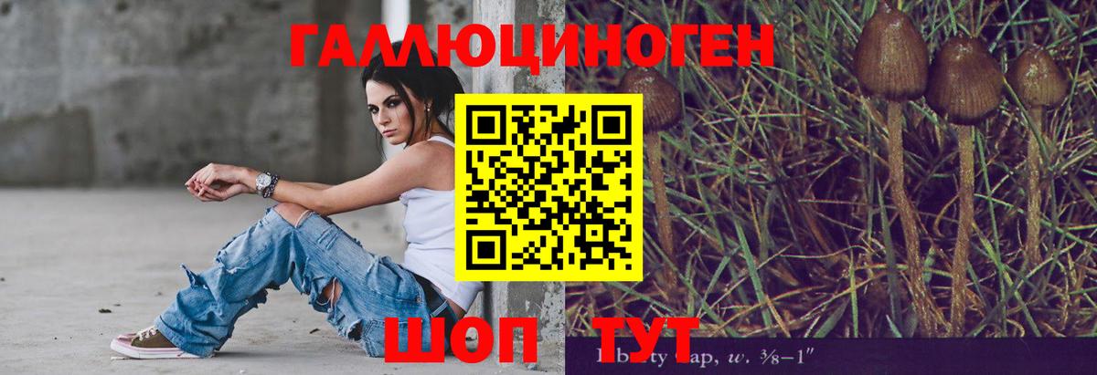 Псилоцибиновые грибы мухоморы Асбест