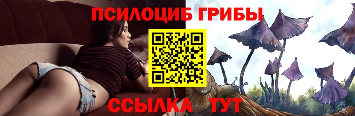 Галлюциногенные грибы мицелий  как найти   Асбест  Вход с VPN  Галлюциногенные грибы Psilocybe 